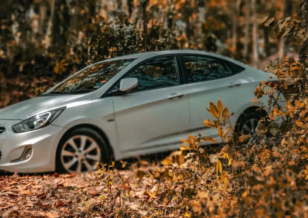 Hyundai Repair In Castle Rock CO At Titan Auto Tech European & Import Auto Repair. A white sedan car is parked outdoors, partially surrounded by autumn foliage with yellow and brown leaves. The background shows blurred trees, creating a warm, seasonal atmosphere.